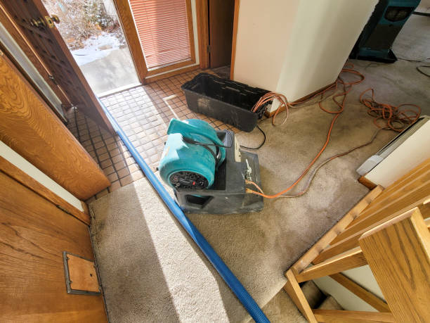 Best Flood restoration services  in Elburn, IL