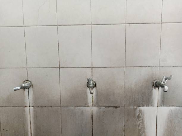 Best Local water damage restoration  in Elburn, IL