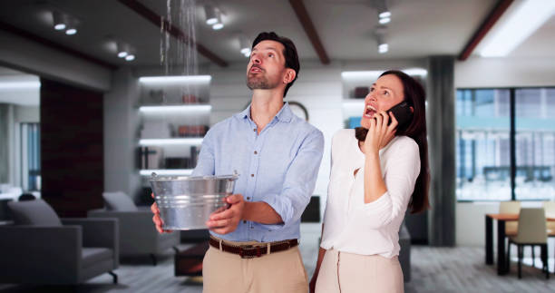 Best Water damage restoration specialists  in Elburn, IL